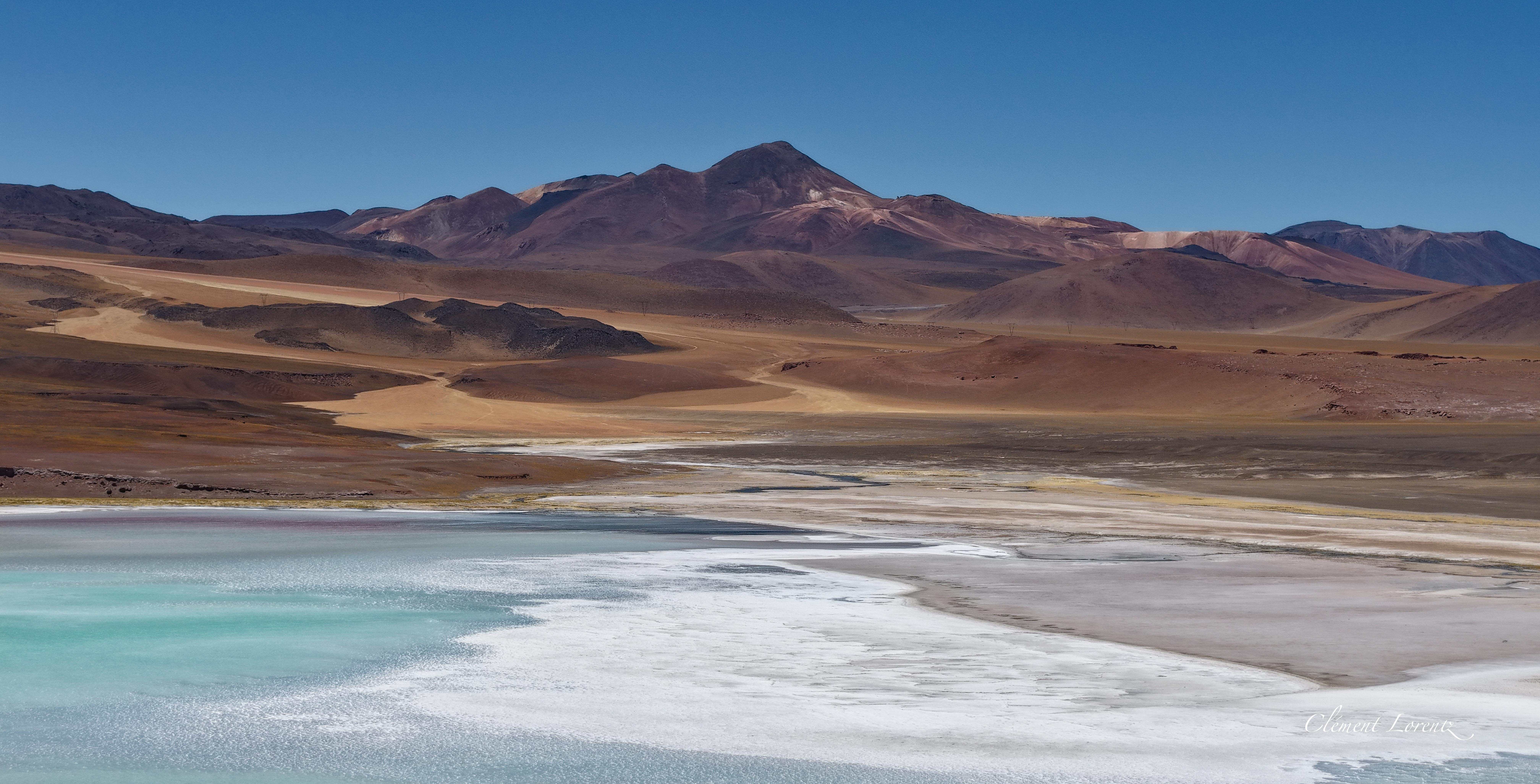 Laguna Tuyajto Atacama Chile The Tuyajto lagune in the andean altiplano close to San Pedro de Atacama