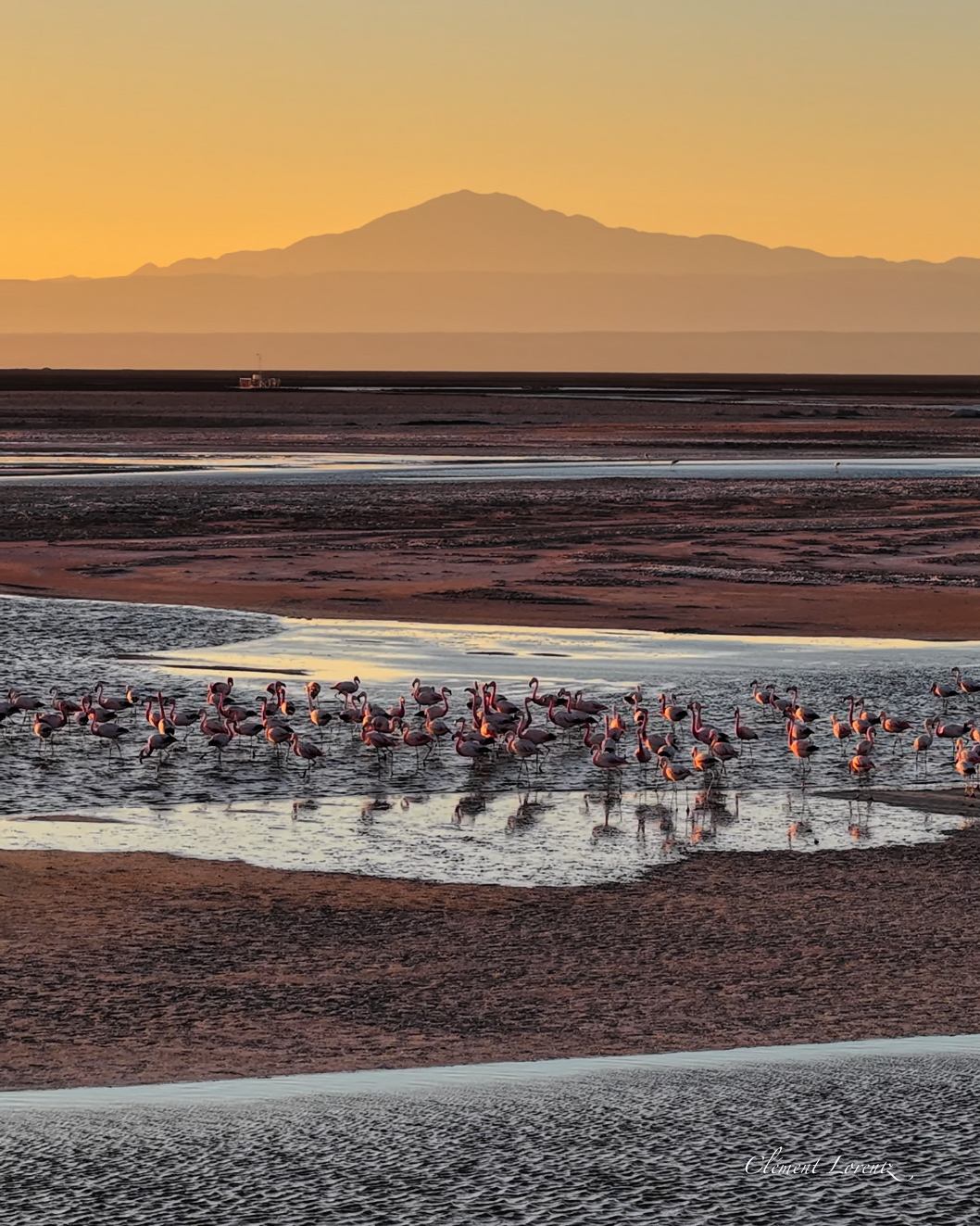 Altiplano Chileno This shot is takin in the Salted flat of Atacama. It shows the Chaxa lagune at sunset. A great way to observe flamencos with insane colors.