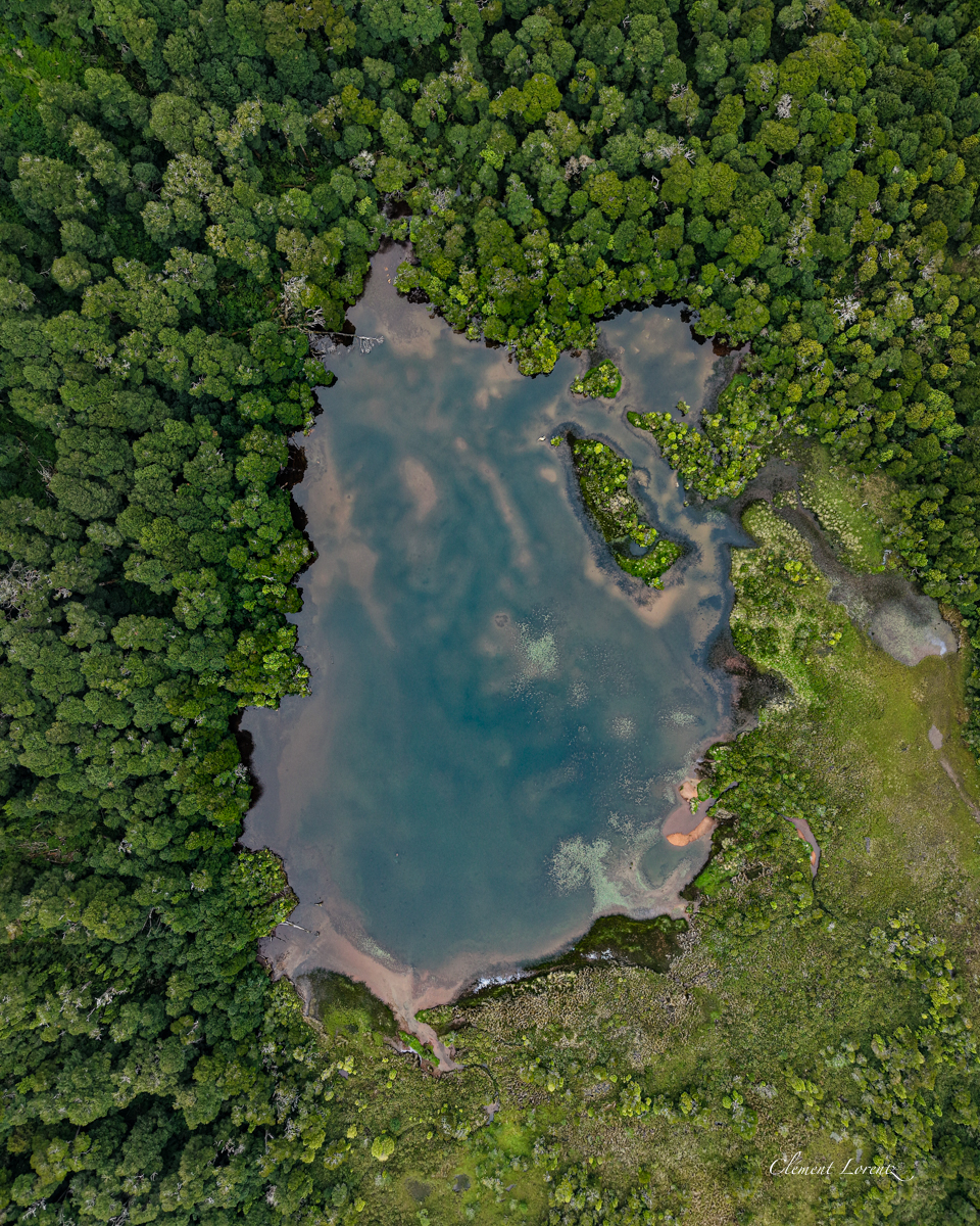 Lac Patagonie Chili Natural clear-water lake surrounded by lush vegetation along the Carretera Austral in Patagonia, Chile.