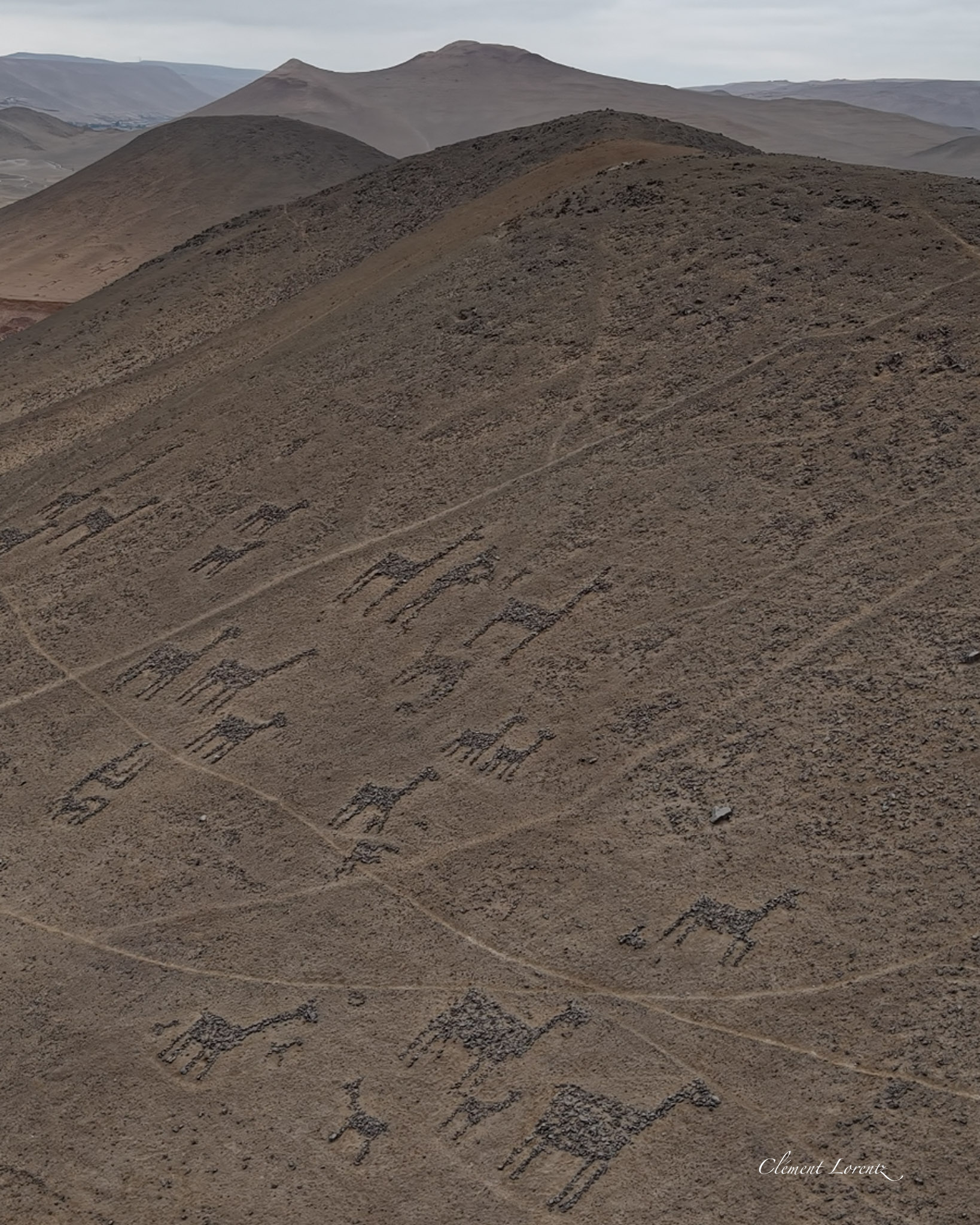 La Tropilla geoglyphs in northern Chile