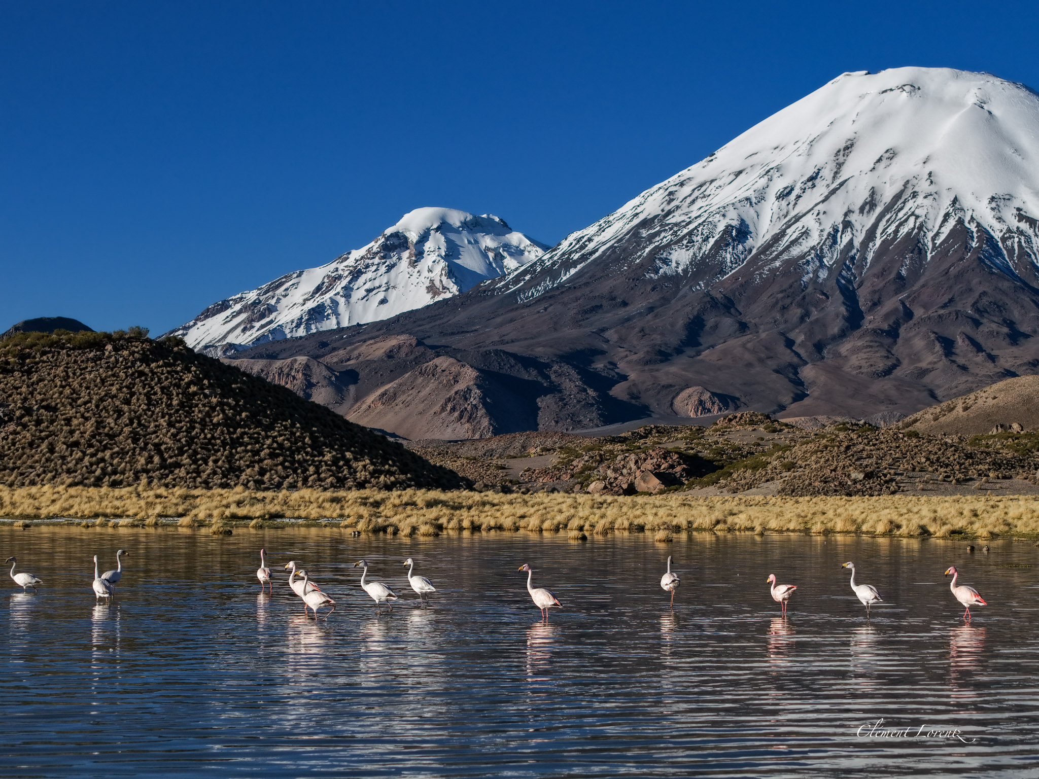 Cristal clear waters of the Cotacotani Lagoons, Lauca National Park
