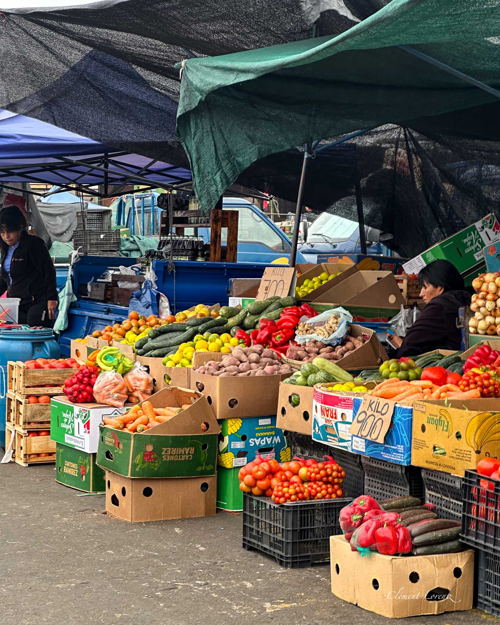 Fresh fruits and vegetables at Arica's Terminal Agro market