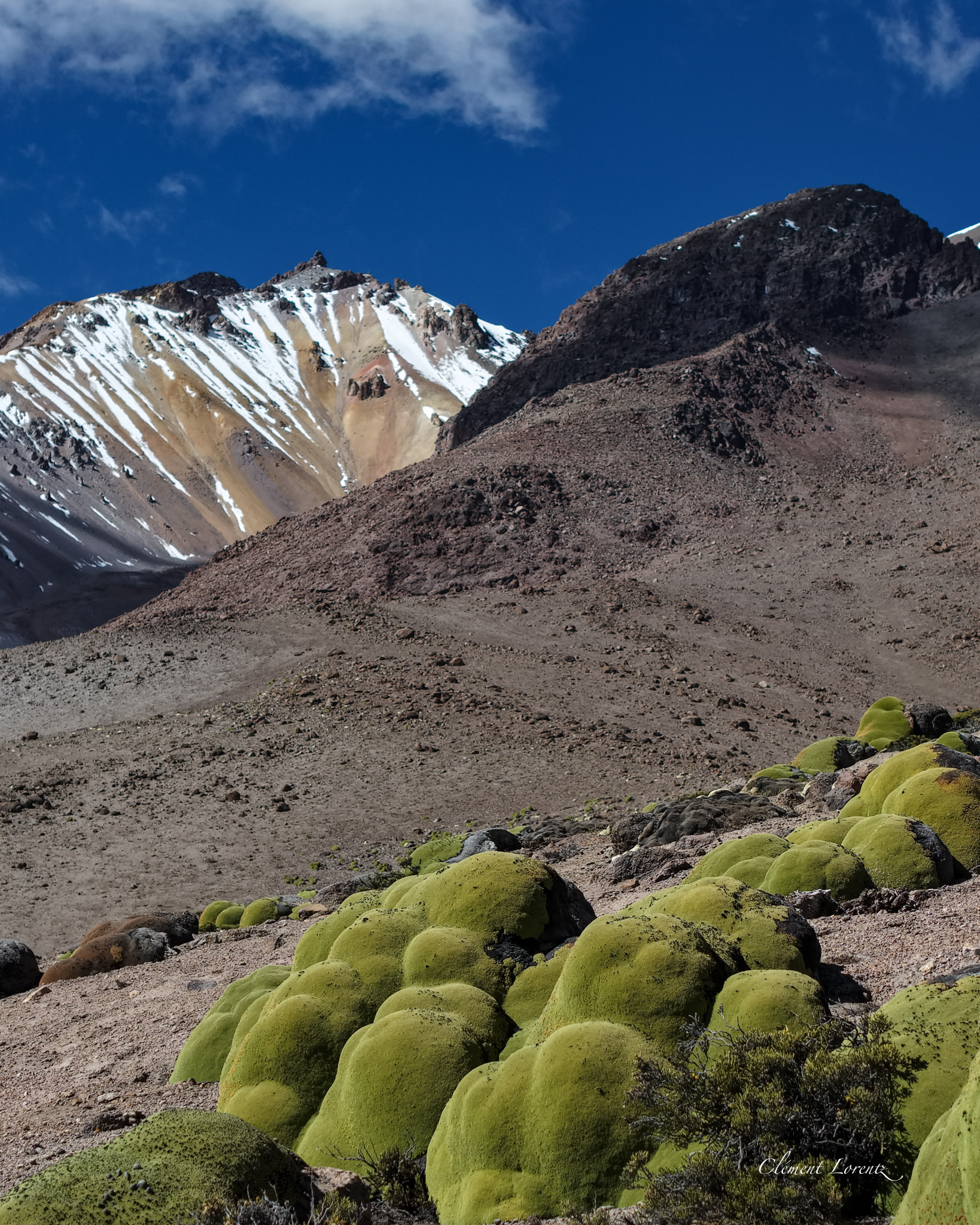 Taapaca Volcano towering over the Chilean Altiplano