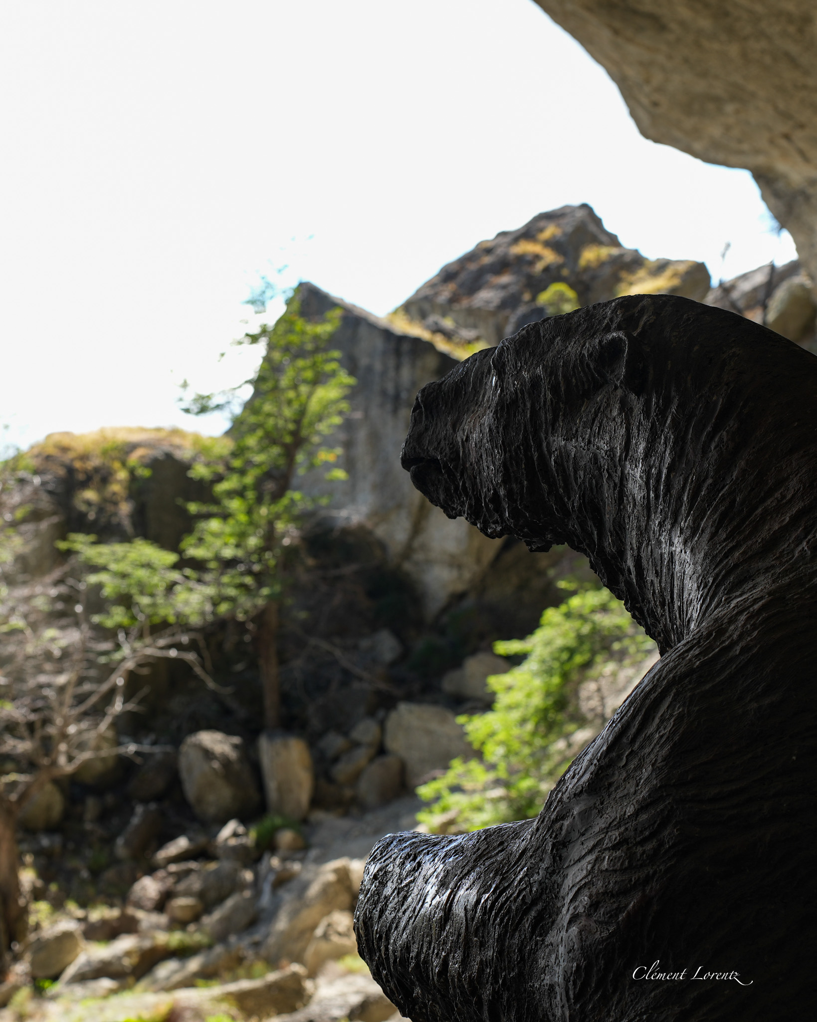 Mylodon cave close to Puerto Natales, Chile