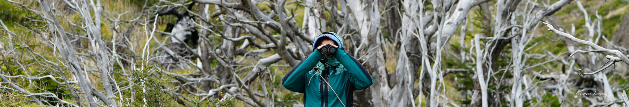 Visitor admiring the Cuernos del Paine peaks in Torres del Paine National Park